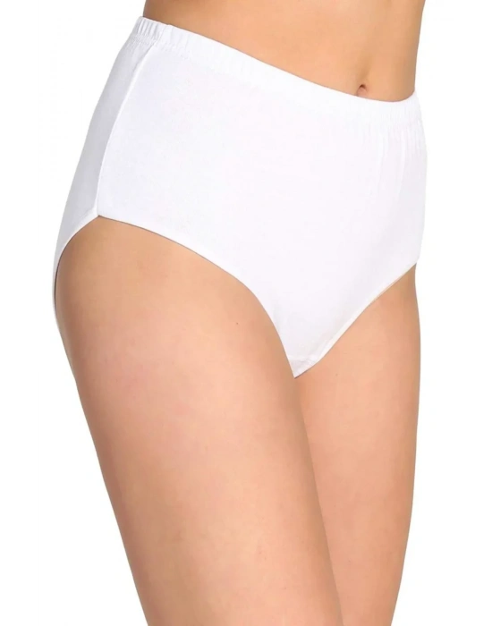 2 Adet Tutku Kadın Yüksek Bel Bato Kalın Lastik Külot S10