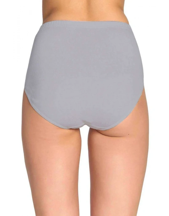 2 Adet Tutku Kadın Yüksek Bel Bato Kalın Lastik Külot S3