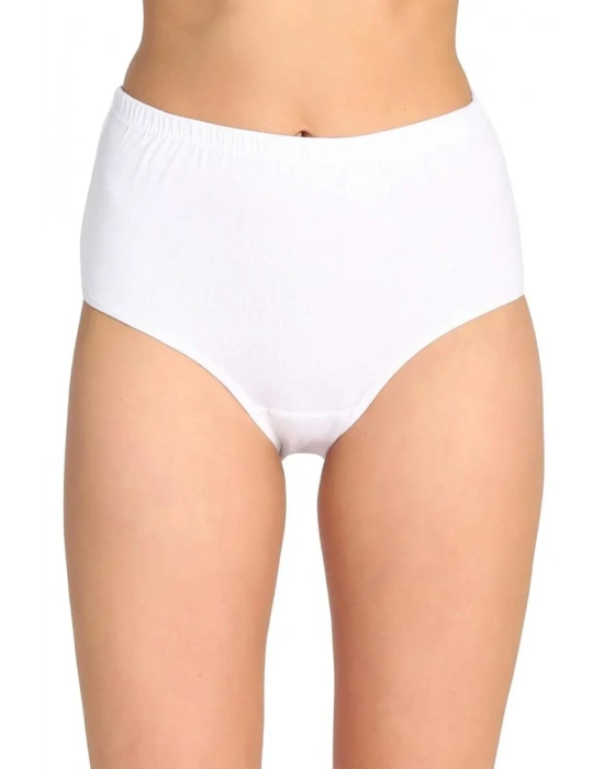 2 Adet Tutku Kadın Yüksek Bel Bato Kalın Lastik Külot S4