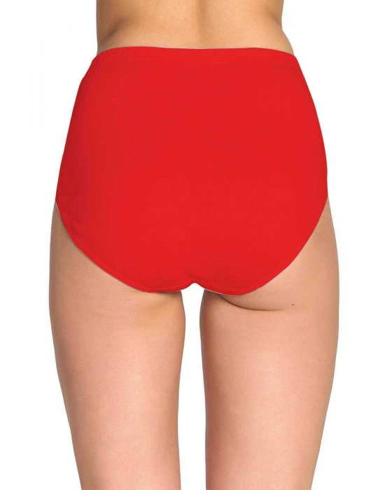 2 Adet Tutku Kadın Yüksek Bel Bato Kalın Lastik Külot S7