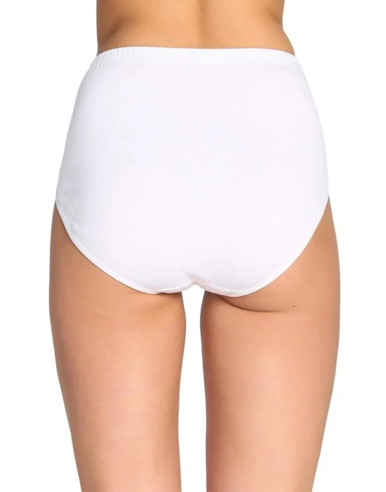 2 Adet Tutku Kadın Yüksek Bel Bato Kalın Lastik Külot S8