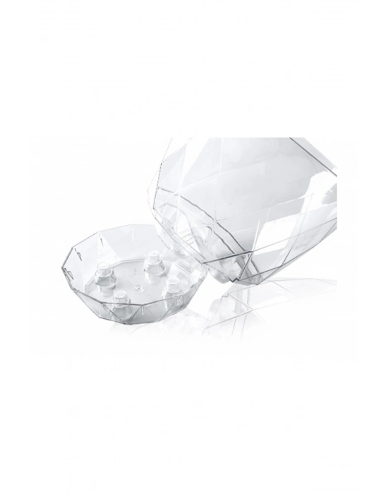 2 No Orkide Saksı Yakamoz Royaleks-KRS-462