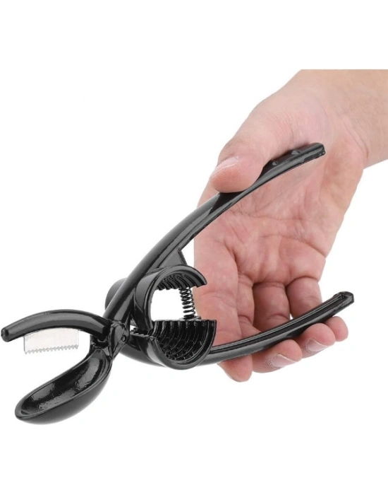 2si 1 Arada Kestane Çizici ve Ceviz Kıracağı