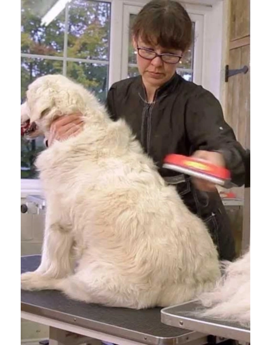 ®  23 KG Üzeri Uzun Tüylü Köpekler İçin Tüy Toplayıcı Ergonomik Tarak