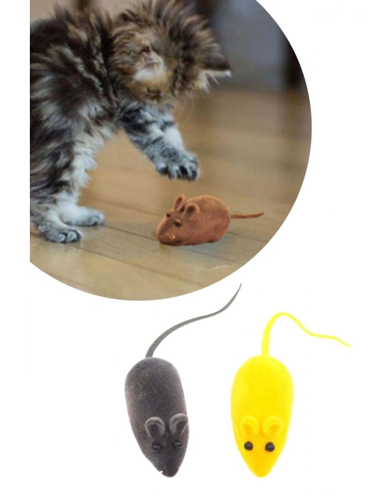 ®  2li Evcil Hayvan Eğitim Sevimli Elastik Kedi Fare Yakalama İnteraktif Sesli Eğitim Oyuncağı