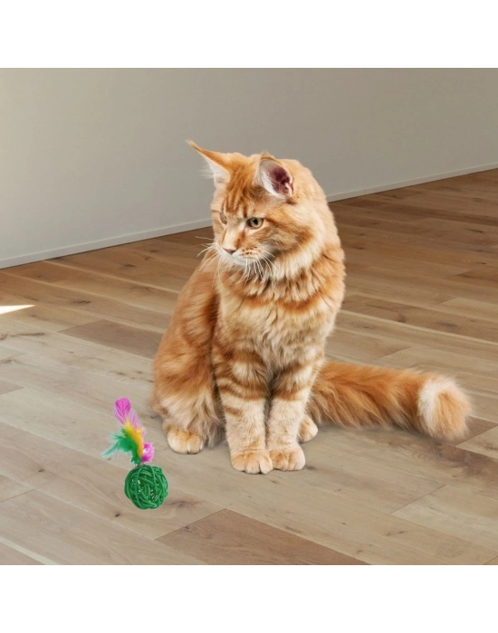 ®  2li Rattan Renkli Peluş Tüy Kedi Köpek Oyuncak Yakalama Çiğneme Çıngıraklı Top Oyuncağı