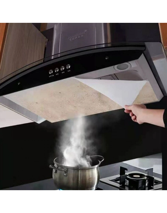 ®  2li Yağ Emici Duman Önleyici Pratik Mutfak Davlumbaz Koruyucu Dayanıklı Yedek Filtre 45x90cm