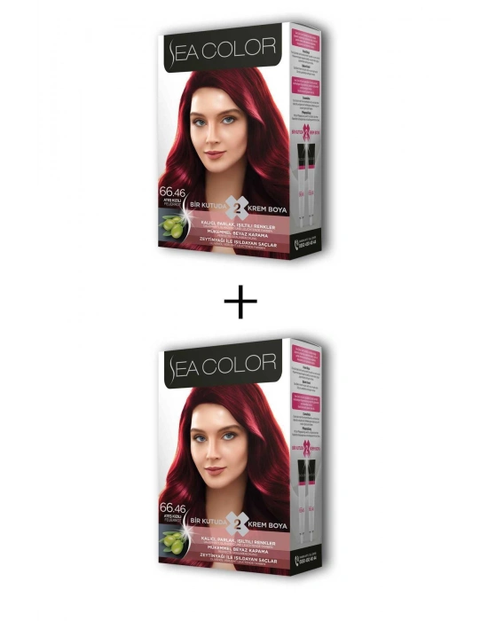 2X2 Tüp Krem Saç Boyası Seti Ateş Kızılı No:66.46