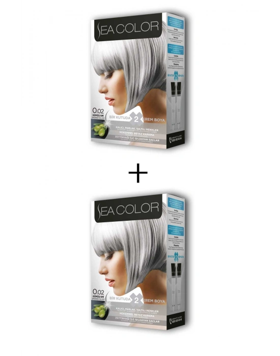 2X2 Tüp Krem Saç Boyası Seti Gümüş Gri No:0.02