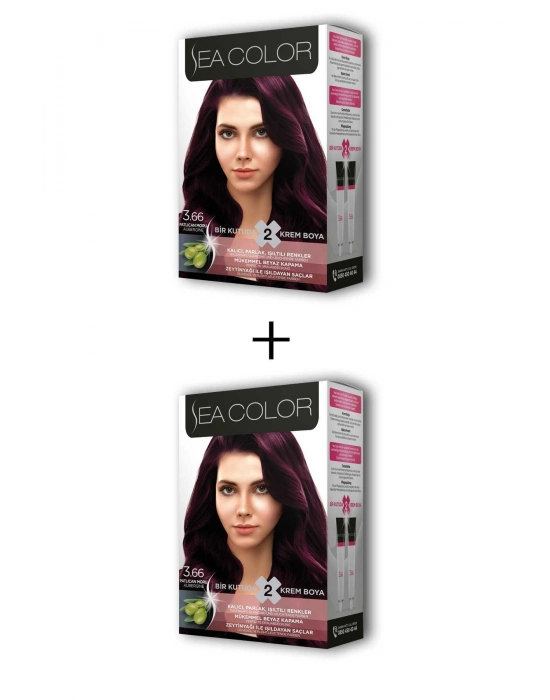 2X2 Tüp Krem Saç Boyası Seti Patlıcan Moru No:3.66