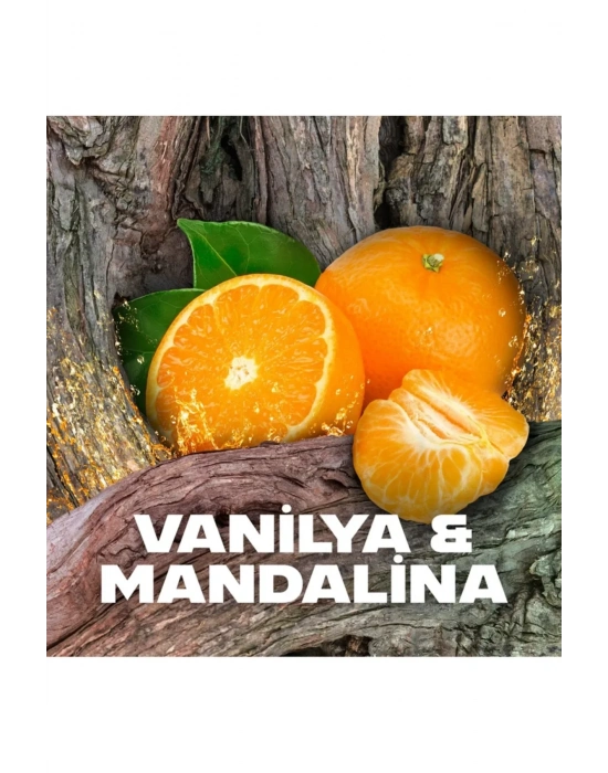 3 Adet Axe Africa Erkek Deodorant Sprey 150 ml