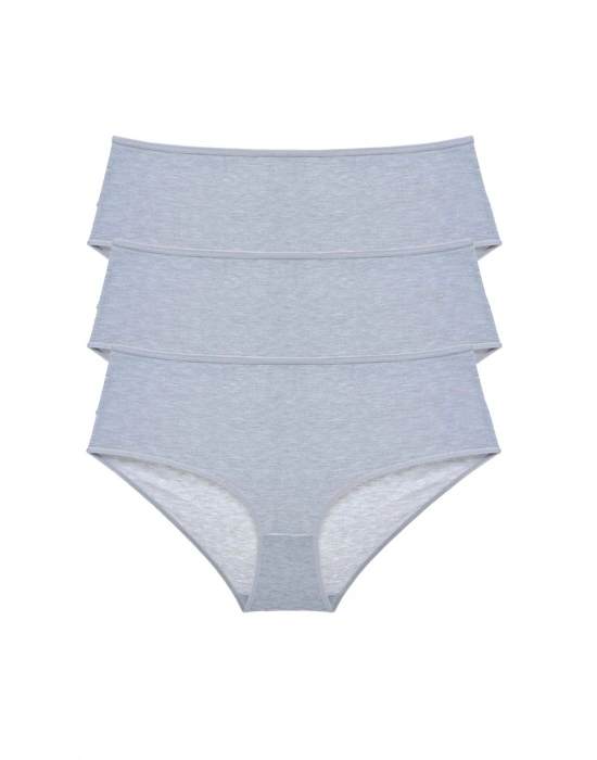 3 Adet Kadın Yüksek Bel Bato Külot Gri