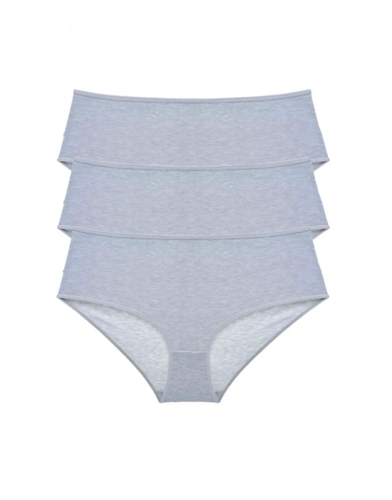 3 Adet Kadın Yüksek Bel Bato Külot Gri