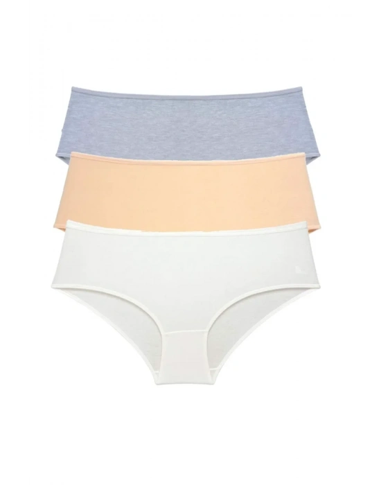 3 Adet Kadın Yüksek Bel Bato Külot Gri Ten Krem