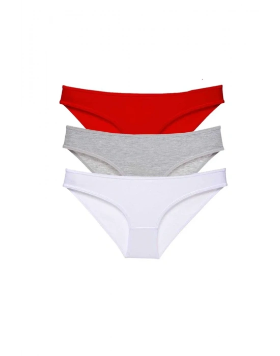 3 adet Süper Eko Set Likralı Kadın Slip Külot 542