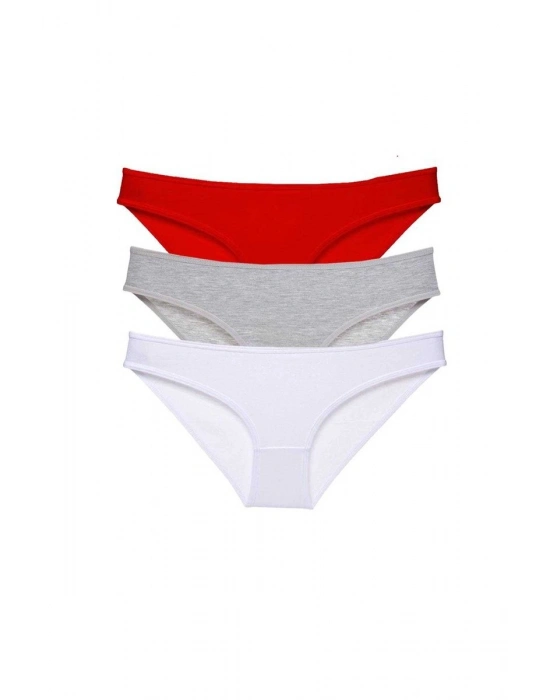 3 adet Süper Eko Set Likralı Kadın Slip Külot 542