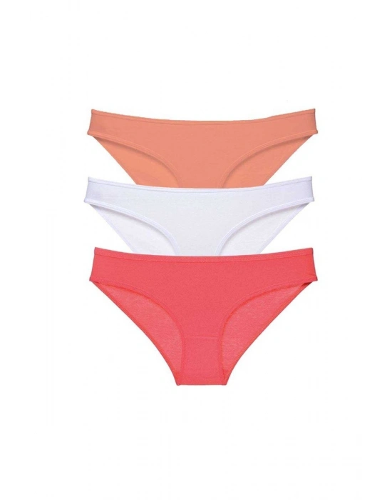 3 adet Süper Eko Set Likralı Kadın Slip Külot 545