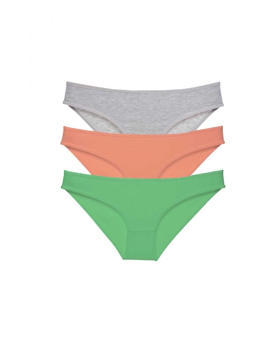 3 adet Süper Eko Set Likralı Kadın Slip Külot Gri Pudra Yeşil