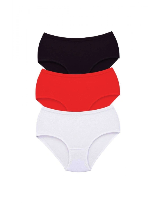 3 Adet Tutku Kadın Yüksek Bel Bato Kalın Lastik Külot S3