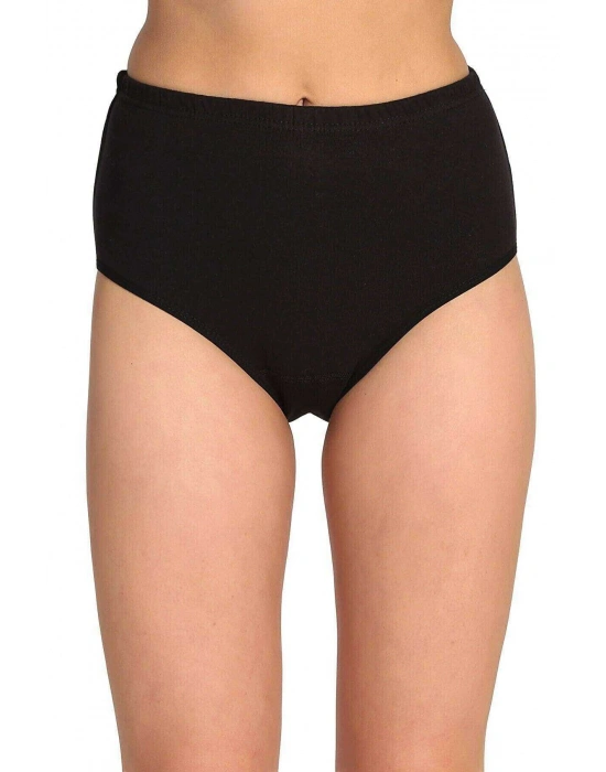 3 Adet Tutku Kadın Yüksek Bel Bato Kalın Lastik Külot S6