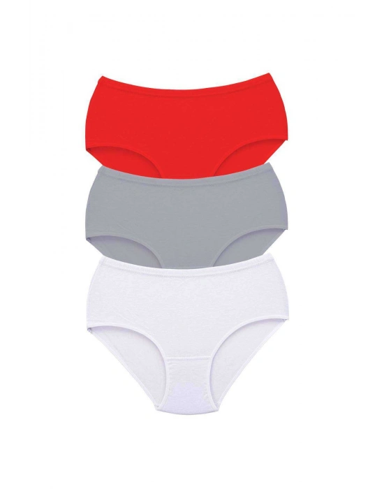 3 Adet Tutku Kadın Yüksek Bel Bato Kalın Lastik Külot S9