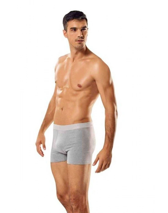 3 adet Tutku Likralı Erkek Gri Boxer 0114