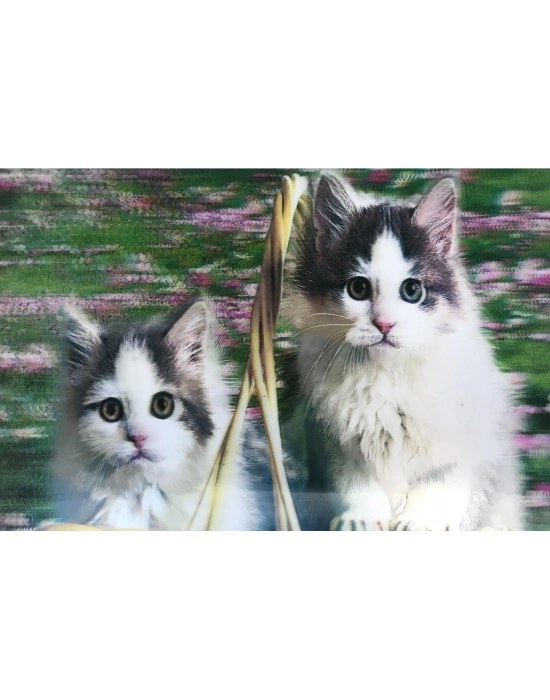 3 Boyutlu Resim  Sevimli Kediler İkili Kedi Resmi Tablosu 40x60 Cm
