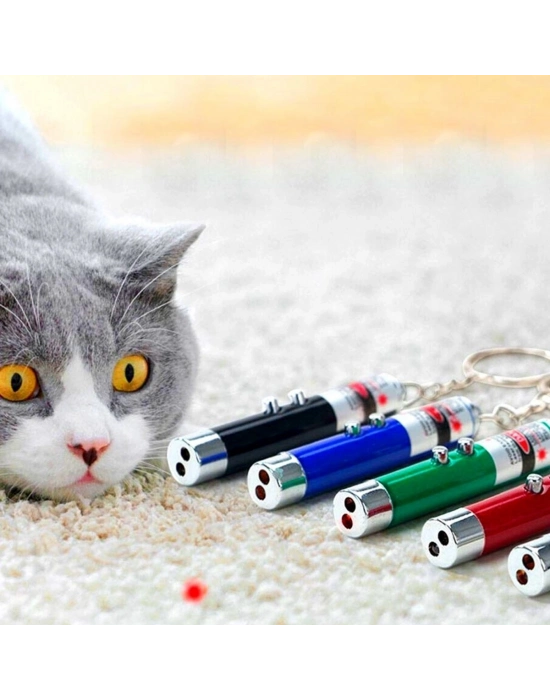 ®   3 Fonksiyonlu Kırmızı Beyaz Işıklı Led Lazer Kedi Köpek Oyuncak Anahtarlık