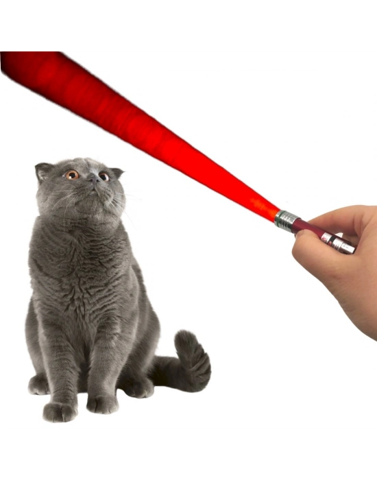 ®   3 Fonksiyonlu Kırmızı Beyaz Işıklı Led Lazer Kedi Köpek Oyuncak Anahtarlık