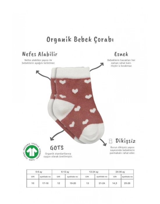 ®   3Lü Penye Cute Stars Soket Çorap BS10115 Pudra