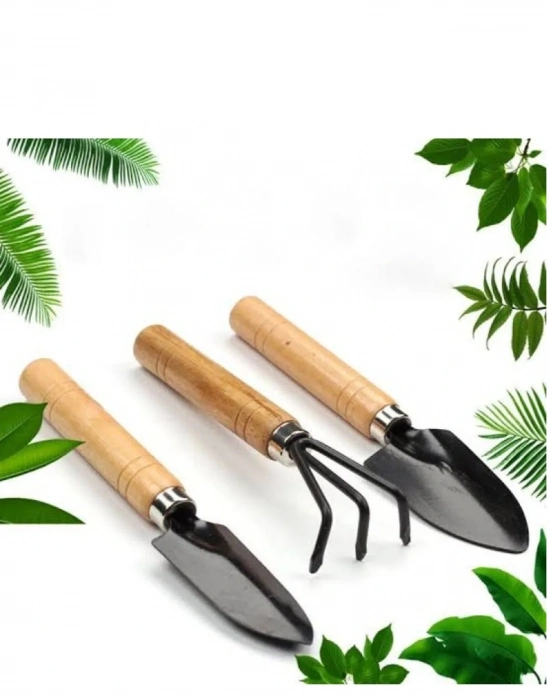 3 Parça Bitki Hobi Seti - Bahçe Saksı Sukulent  Bakım Çapa-tırmık-kürek