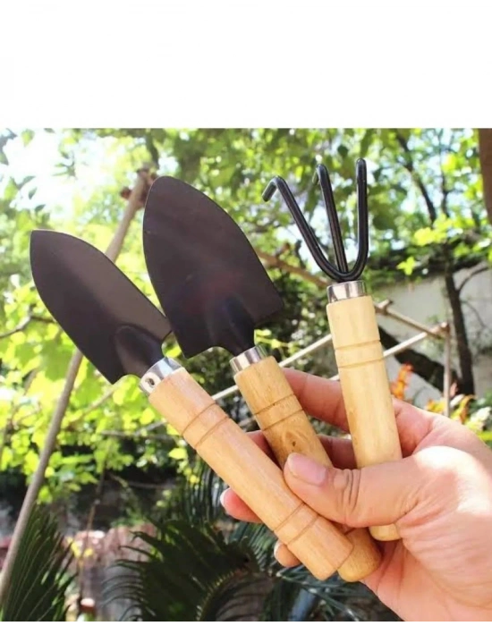 3 Parça Bitki Hobi Seti - Bahçe Saksı Sukulent  Bakım Çapa-tırmık-kürek