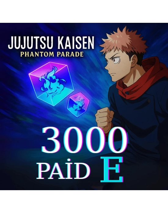 3000 Paid E