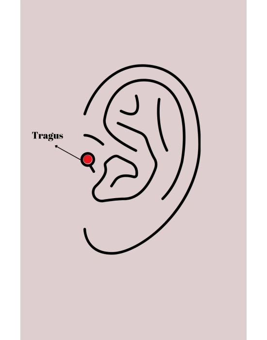 316L Çelik Gümüş Renk Zirkon Taşlı Güneş Tragus Piercing