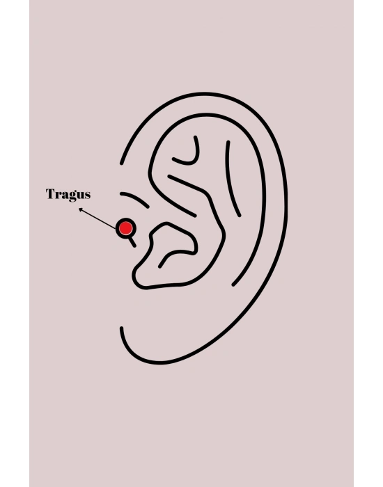 316L Çelik Gümüş Renk Zirkon Taşlı Yaprak Model Tragus Piercing