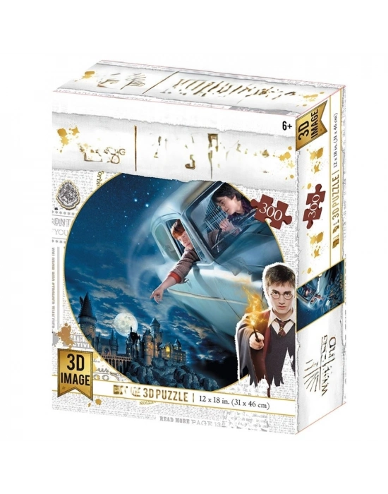 3D Puzzle 300 Parça