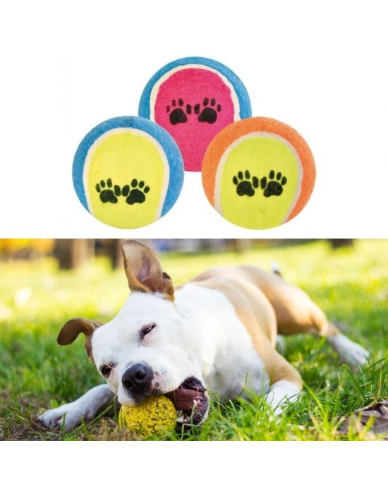 ®   3lü Renkli Desenli Tenis Topu Kedi Köpek Oyuncağı