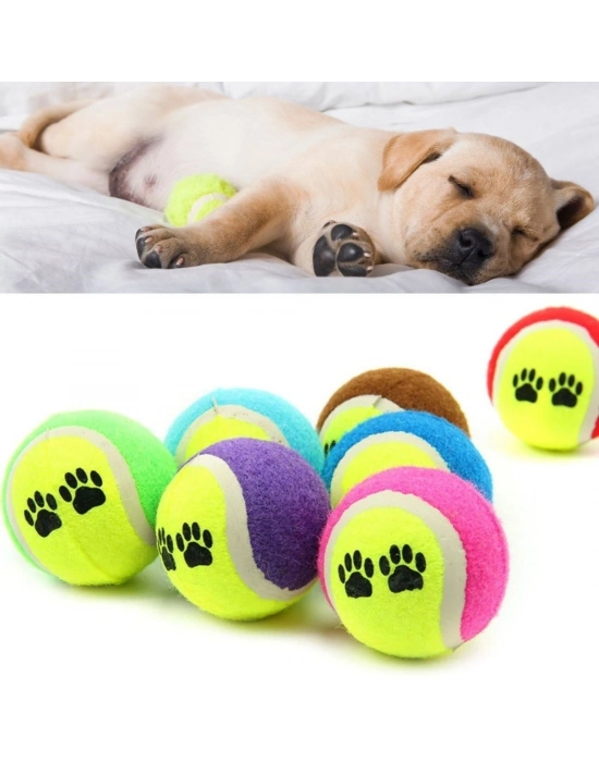 3lü Renkli Desenli Tenis Topu Kedi Köpek Oyuncağı