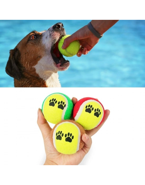 3lü Renkli Desenli Tenis Topu Kedi Köpek Oyuncağı