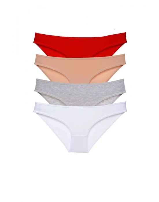 4 adet Süper Eko Set Likralı Kadın Slip Külot 531