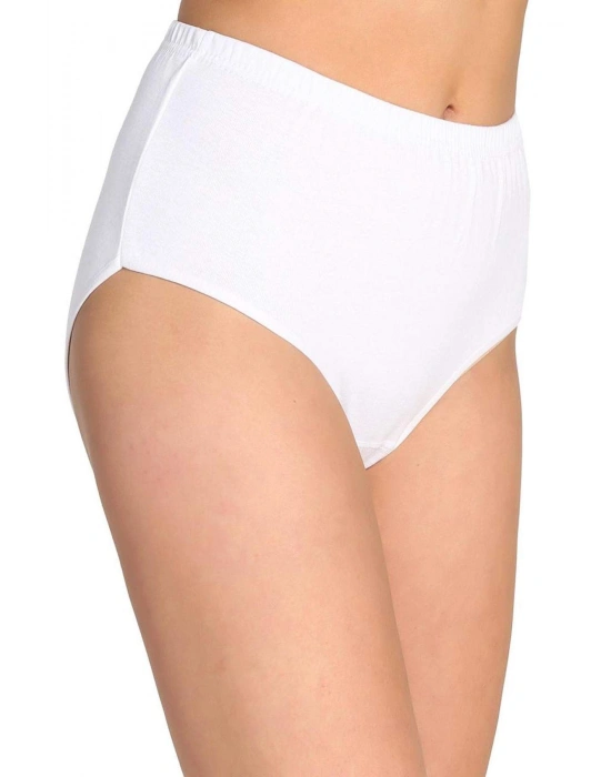 4 Adet Tutku Kadın Yüksek Bel Bato Kalın Lastik Külot S10