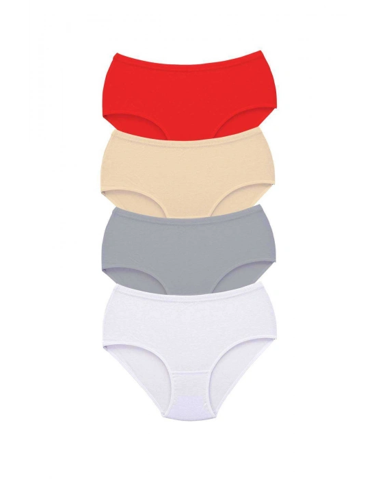 4 Adet Tutku Kadın Yüksek Bel Bato Kalın Lastik Külot S13