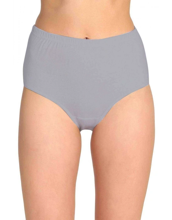 4 Adet Tutku Kadın Yüksek Bel Bato Kalın Lastik Külot S13