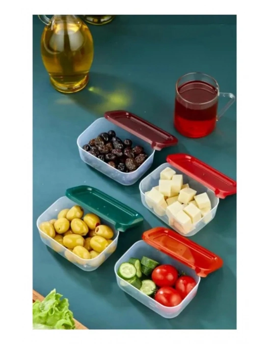 4lü Kapaklı Saklama Kabı Çerezlik Kahvaltılık Piknik Kabı Royaleks-HS-017