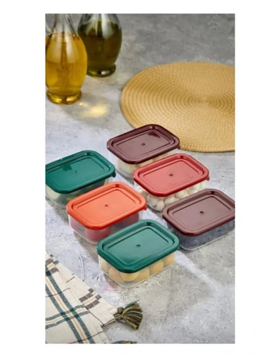 4lü Kapaklı Saklama Kabı Çerezlik Kahvaltılık Piknik Kabı Royaleks-HS-017