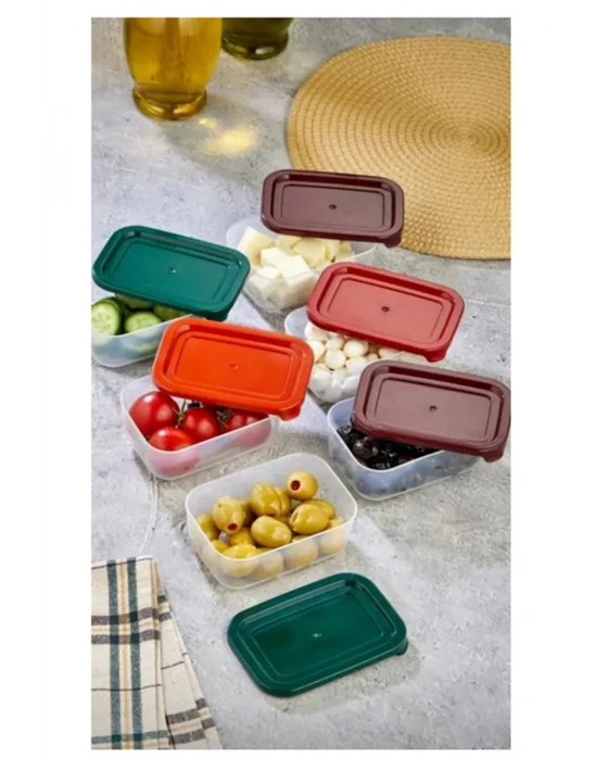 4lü Kapaklı Saklama Kabı Çerezlik Kahvaltılık Piknik Kabı Royaleks-HS-017