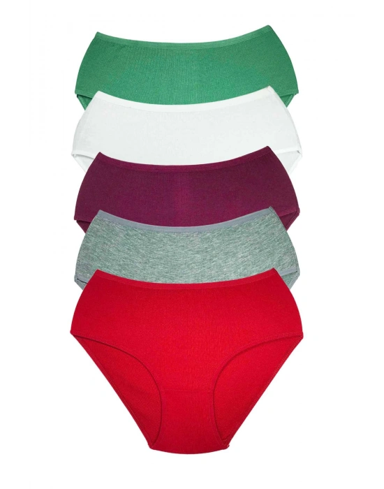 5 Adet Kadın Yüksek Bel Ribana Bato Külot S044