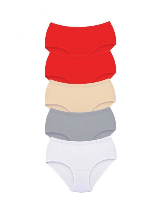 5 Adet Tutku Kadın Yüksek Bel Bato Kalın Lastik Külot S14