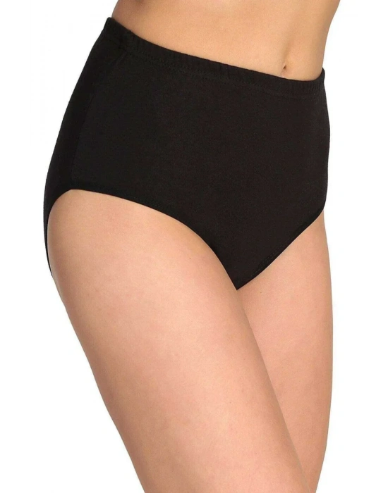 5 Adet Tutku Kadın Yüksek Bel Bato Kalın Lastik Külot S2