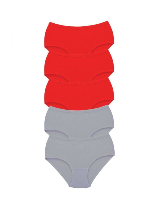 5 Adet Tutku Kadın Yüksek Bel Bato Kalın Lastik Külot S7